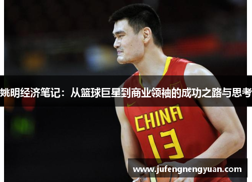 姚明经济笔记：从篮球巨星到商业领袖的成功之路与思考