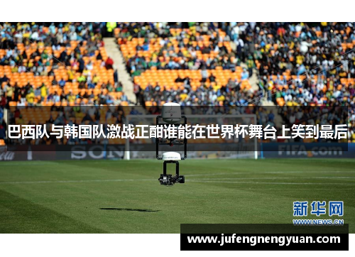 巴西队与韩国队激战正酣谁能在世界杯舞台上笑到最后