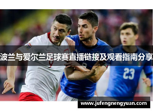 波兰与爱尔兰足球赛直播链接及观看指南分享