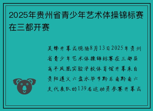 2025年贵州省青少年艺术体操锦标赛在三都开赛