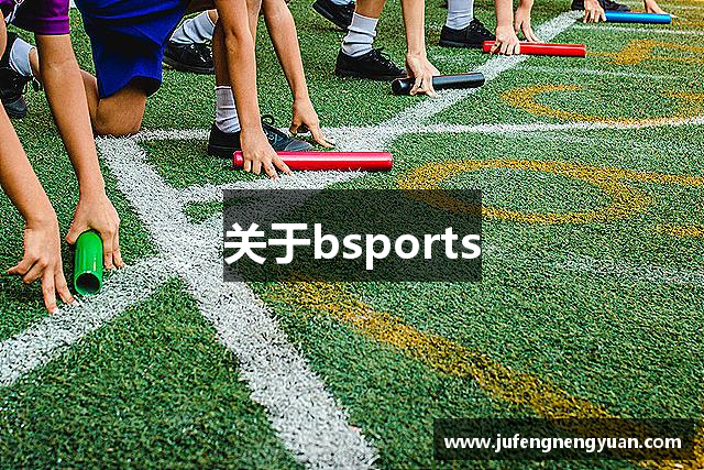 关于bsports